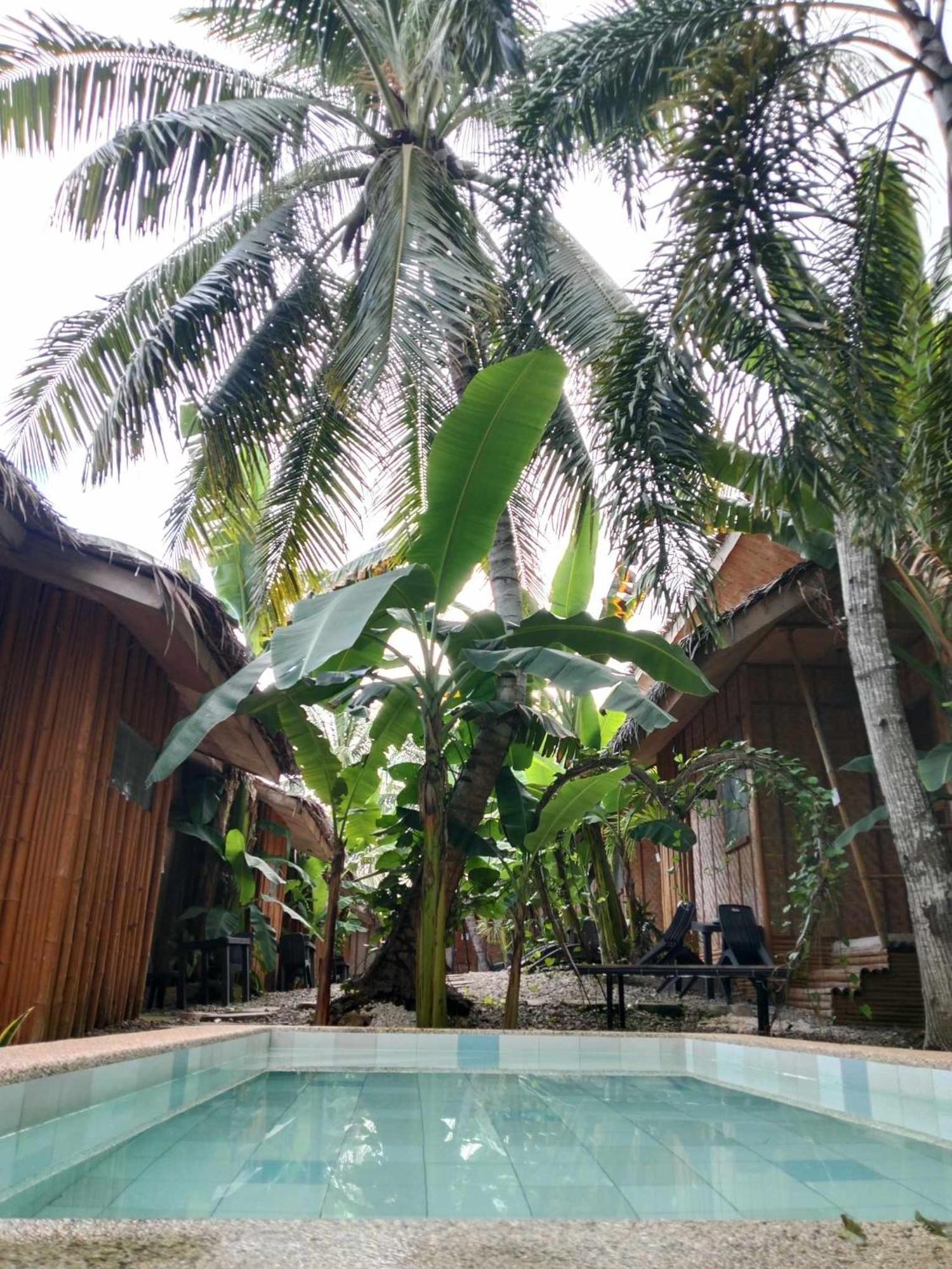 Ecostay Panglao Resort Hotel Eksteriør bilde