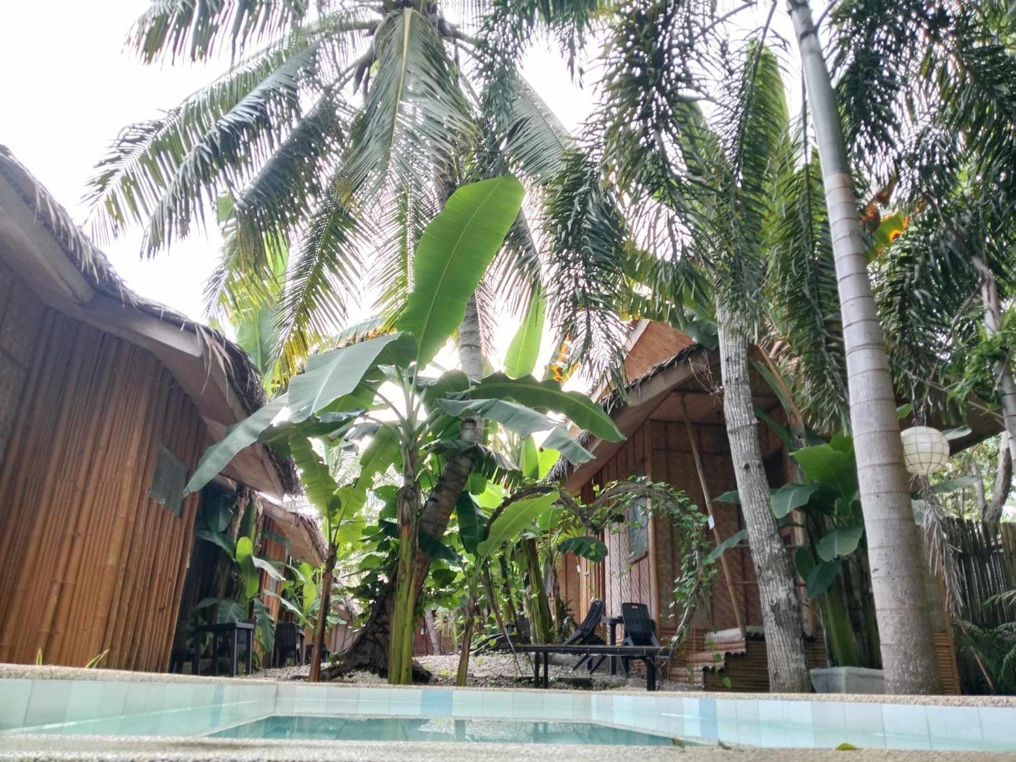 Ecostay Panglao Resort Hotel Eksteriør bilde